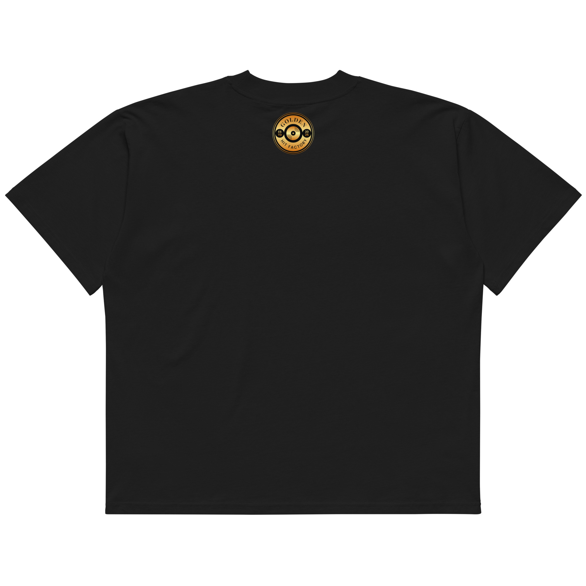 Layla Rey Concert - Unisex organic oversized high neck t-shirt
