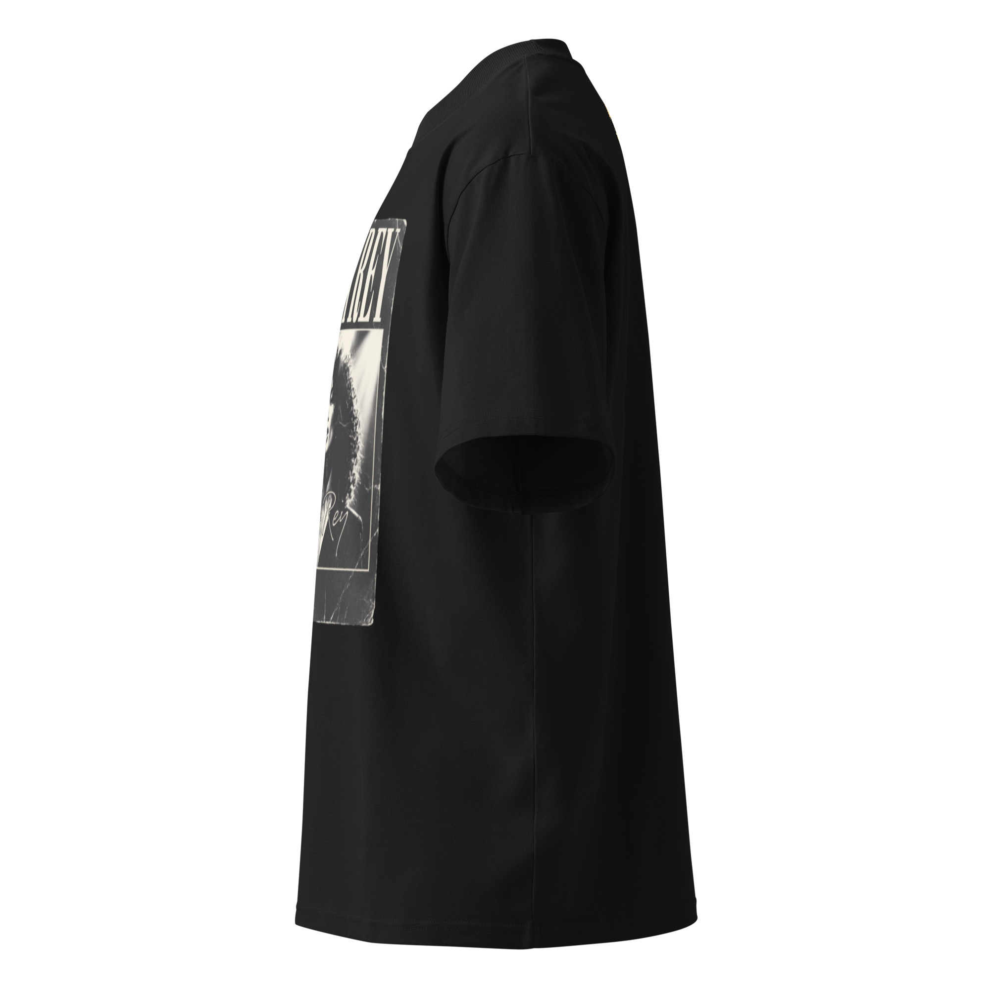 Layla Rey Concert - Unisex organic oversized high neck t-shirt