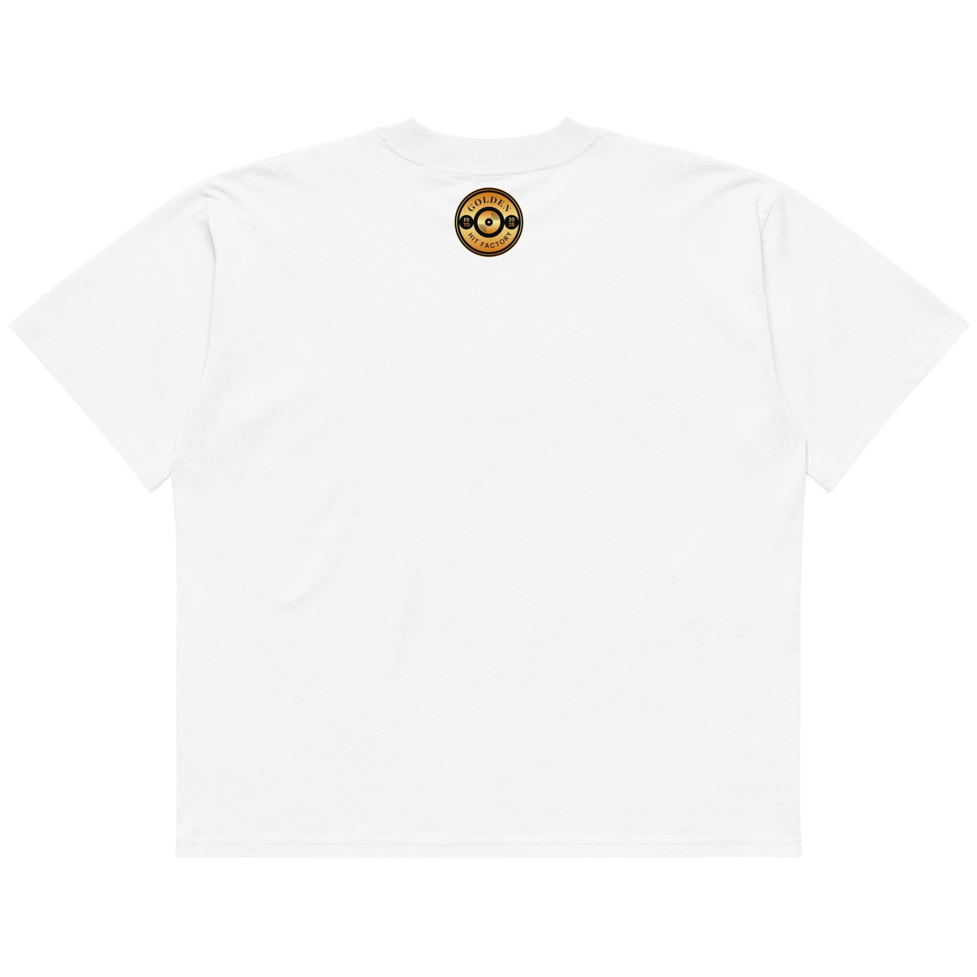 Layla Rey Concert - Unisex organic oversized high neck t-shirt